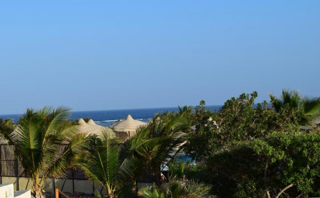 Фото отеля MANGROVE BAY RESORT