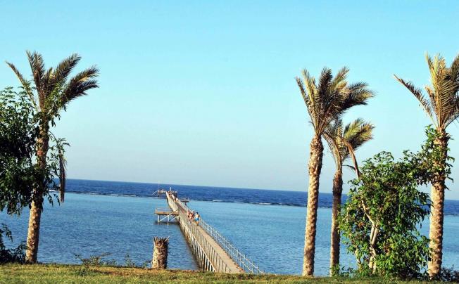 Фото отеля Elphistone Resort Marsa Alam