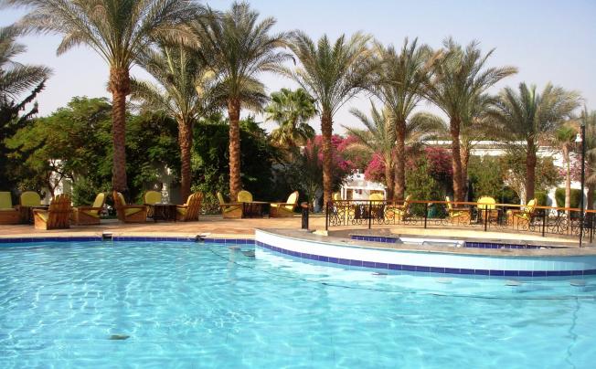Фото отеля Seti Sharm Palm Beach Resort