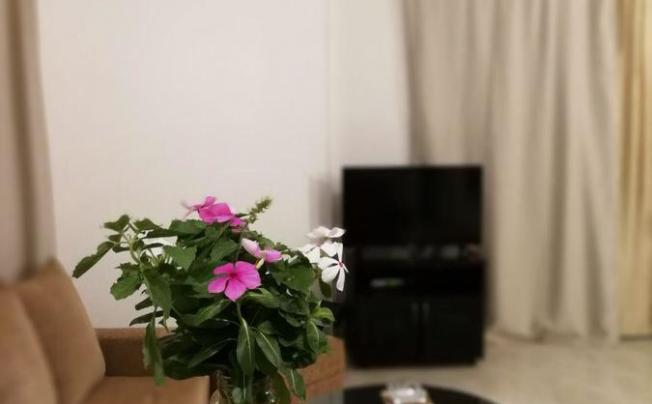 Фото отеля Green Garden Resort