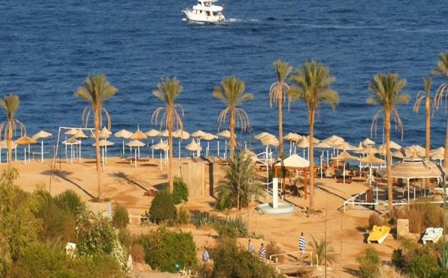 Фото отеля Royal Paradise Beach Resort