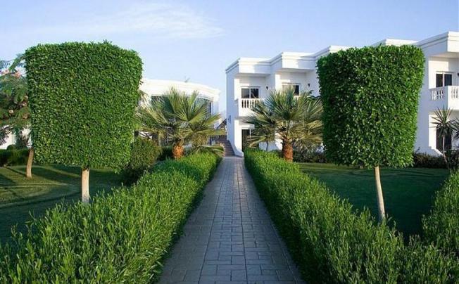 Фото отеля Royal Paradise Beach Resort