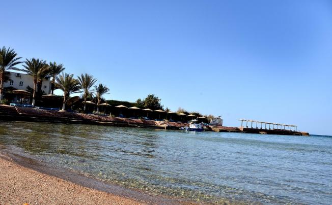 Фото отеля Sand Beach Resort