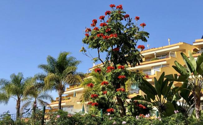 Фото отеля Tigaiga Suites