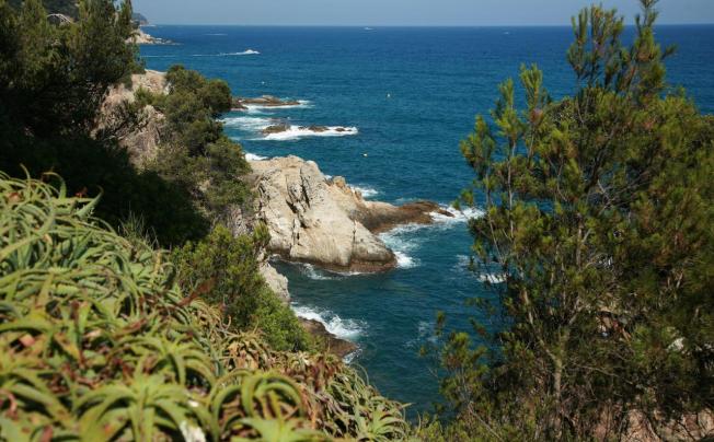 Фото отеля Helios Lloret De Mar 