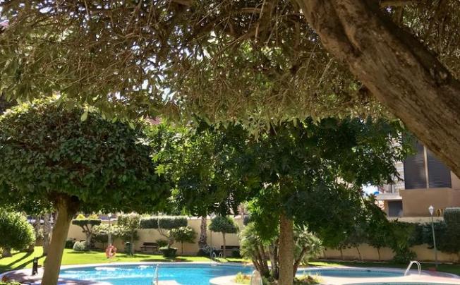 Фото отеля Torpa Apartamentos