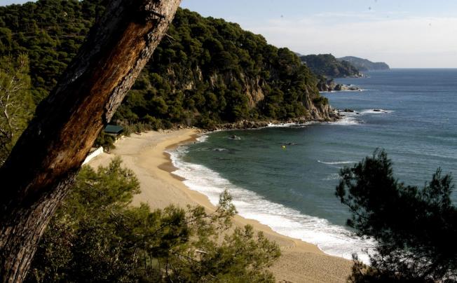 Фото отеля Lloret Sun Apartaments