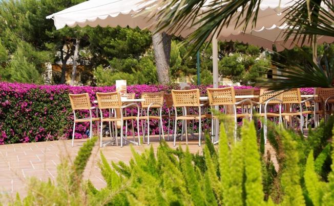 Фото отеля Zafiro Mallorca & Spa