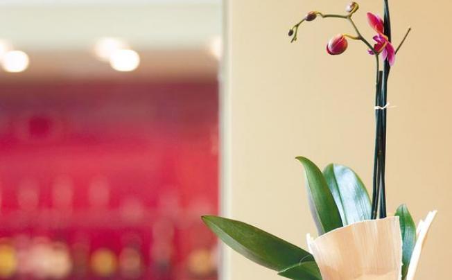 Фото отеля Hesperia Barcelona Fira Suites
