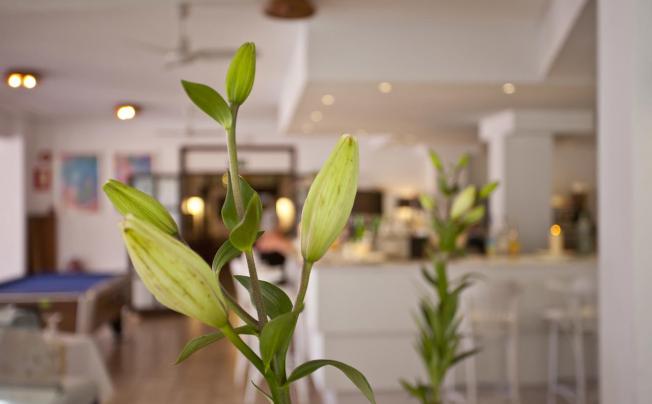 Фото отеля Galaxia Boutique Hotel
