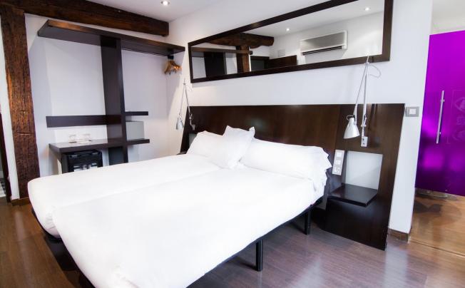 Фото отеля PETIT PALACE ARANA BILBAO