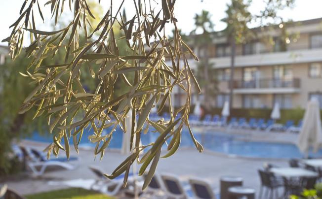 Фото отеля Bahia Pollensa Aparthotel
