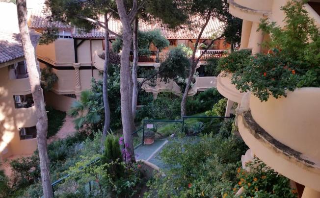 Фото отеля El Porton Apartamentos