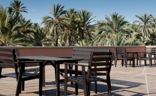 Фото отеля Jardin Milenio Hotel
