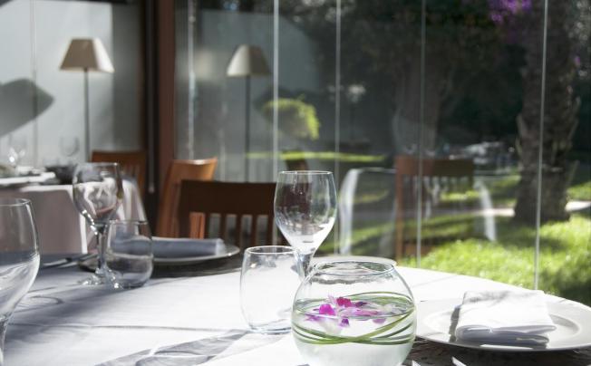 Фото отеля Jardin Milenio Hotel
