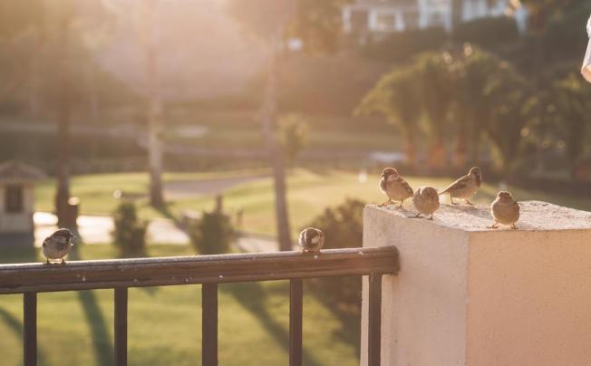 Фото отеля Rio Real Golf Hotel