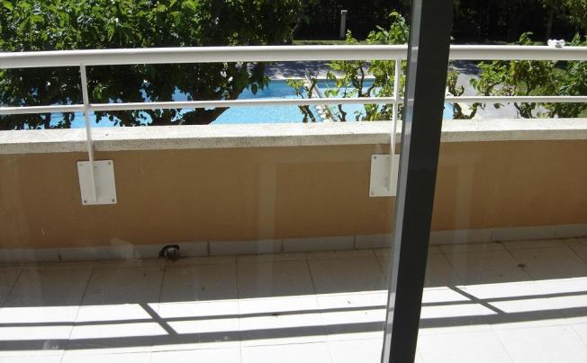 Фото отеля Dalia Apartamentos