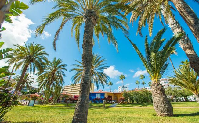 Фото отеля Miraflor Suites Bungalows