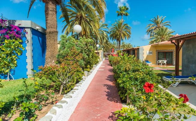 Фото отеля Miraflor Suites Bungalows