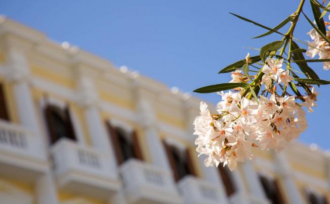 Фото отеля Ibiza Gran Hotel