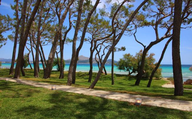 Фото отеля Iberostar Playa De Muro 