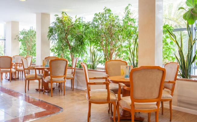 Фото отеля Grupotel Taurus Park 