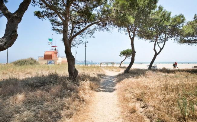 Фото отеля Salles Beach Apartamentos