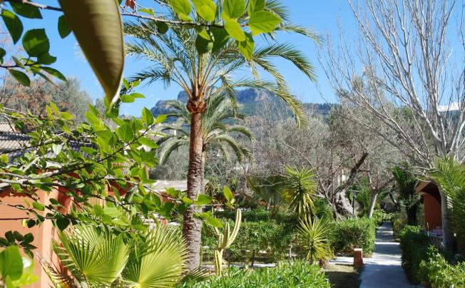 Фото отеля Soller Garden Hotel