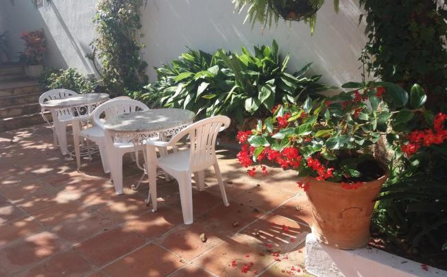Фото отеля Villa Albero Hotel