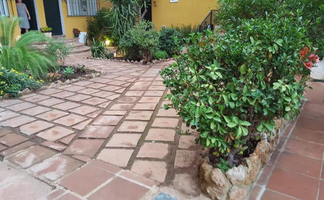 Фото отеля Villa Albero Hotel