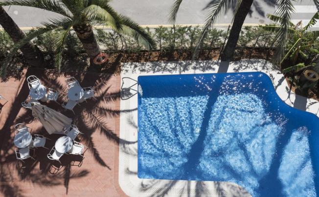 Фото отеля El Palmeral Hotel