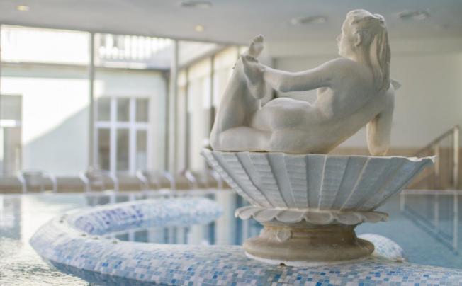 Фото отеля Grand Hotel Nuove Terme
