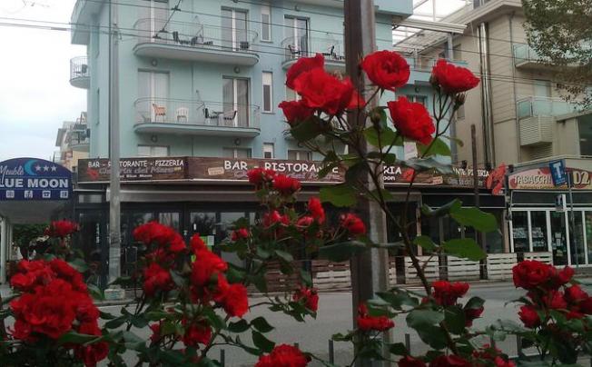 Фото отеля Blue Moon Hotel