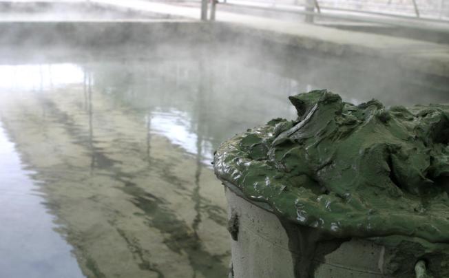 Фото отеля Terme Venezia