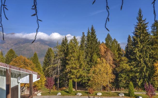 Фото отеля Alaska Hotel Folgarida