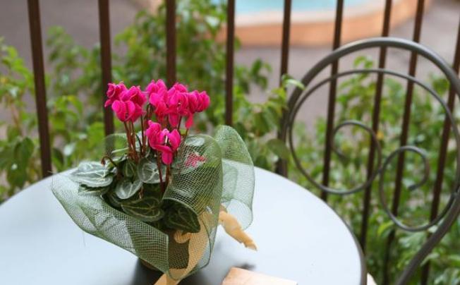 Фото отеля Domus Romana Hotel & Residence