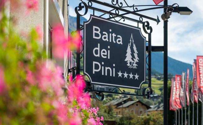 Фото отеля Baita Dei Pini Hotel