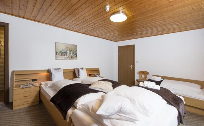 Фото отеля Chalet Olympia Hotel