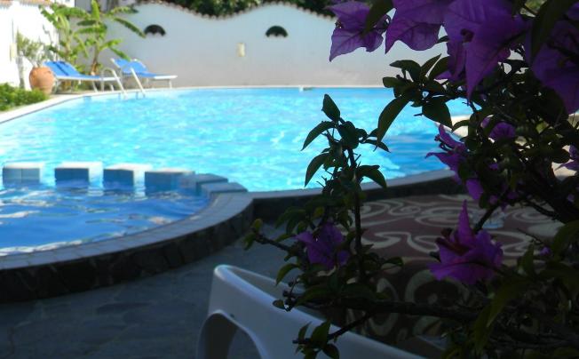 Фото отеля Hotel Punta Faro