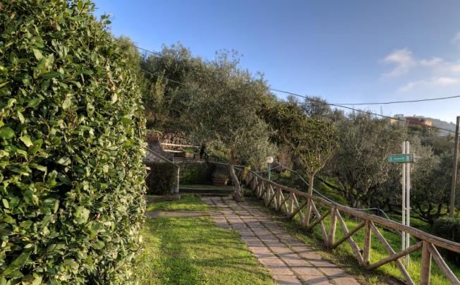 Фото отеля GOCCE DI CAPRI HOTEL & RESIDENCE