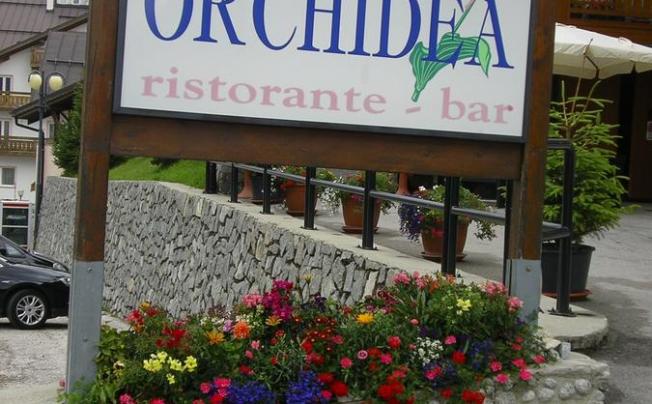 Фото отеля Orchidea