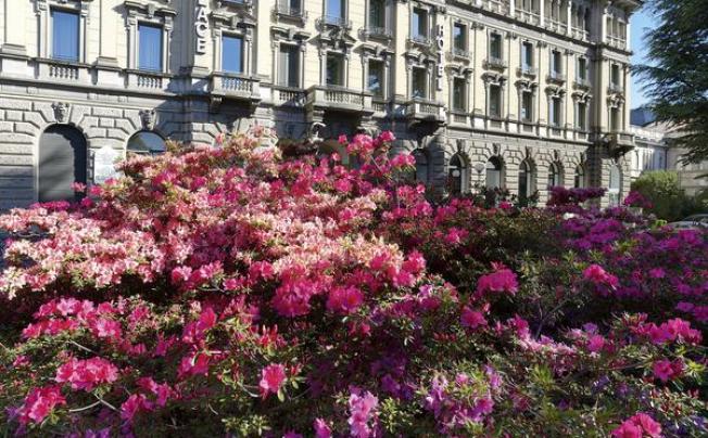 Фото отеля Palace Hotel