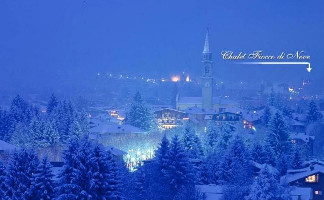 Фото отеля Chalet Fiocco di Neve
