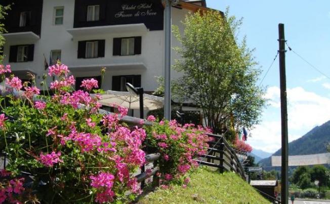 Фото отеля Chalet Fiocco di Neve