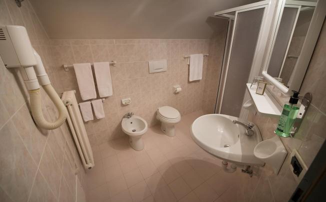 Фото отеля Alpen Village Hotel
