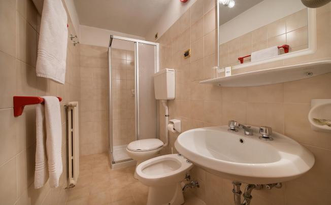Фото отеля Alpen Village Hotel
