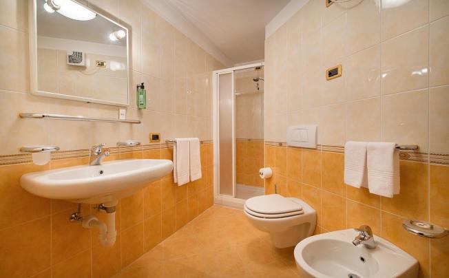 Фото отеля Alpen Village Hotel