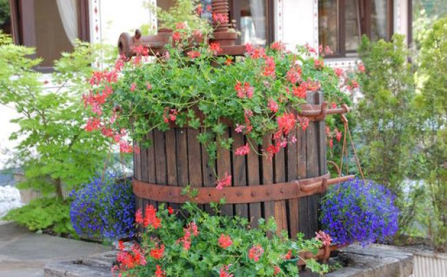Фото отеля San Valier