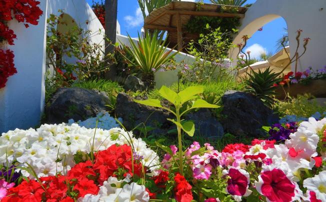 Фото отеля Terme San Nicola Hotel