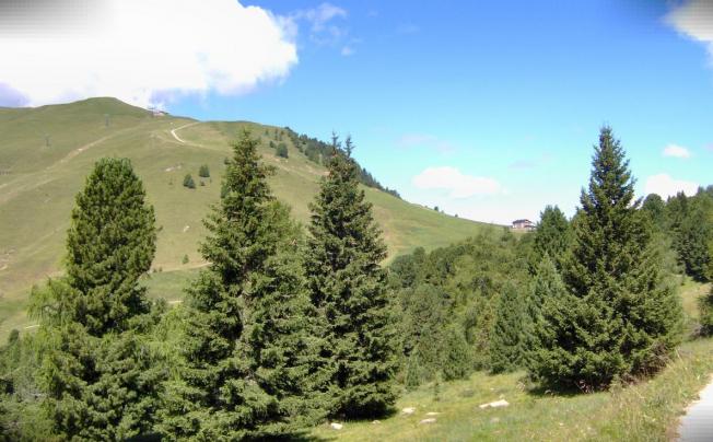 Фото отеля Eurotel cermis